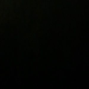 Meet your Posher, Gloria